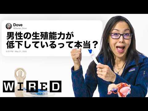 生殖醫療のドクターだけど質問ある？ | 技術支援 | WIRED.jp (生殖医療のドクターだけど質問ある？ | Tech Support | WIRED.jp)