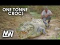 Matt Wright Feeds A Huge ONE TONNE CROC Called Tripod Matt Wright