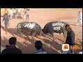 Modi Ge Kyabat Hi