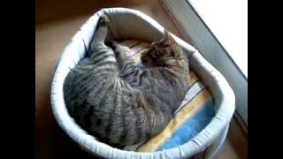 Neo. It&#39;s time to bathe.