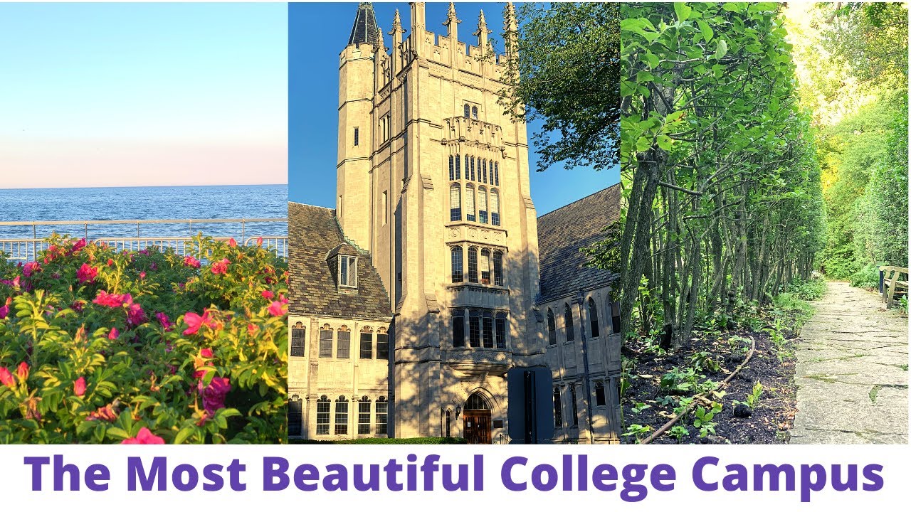 The Most Beautiful College Campus in America | Northwestern University Vlog | Campus Tour |