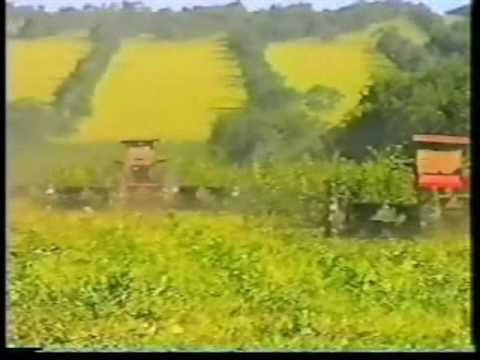 Roçadeiras Dalle Vedove