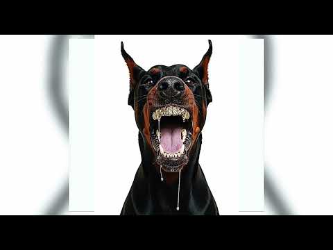 Non-serious 𝓕𝓻𝓮𝓪𝓴𝔂 Playlist