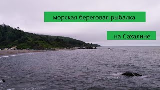 Рыболовные конторы на сахалине