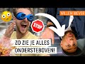 NINJA WARRIOR PARCOUR MET GEHACKTE OGEN #2 | Tim vs. Edson | NPO Zapp