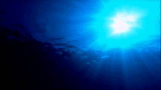 Son By Four - Donde Esta Tu Amor - Adapted by Cristóbal With Bonus Track