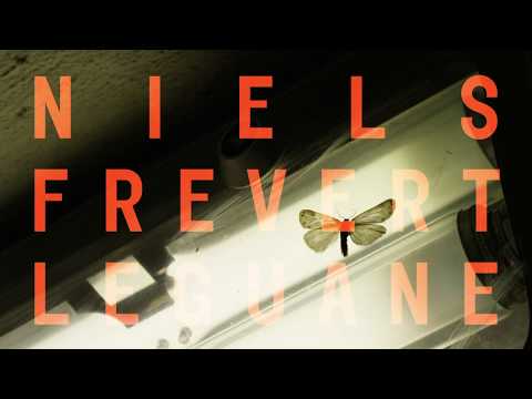 Leguane - Niels Frevert