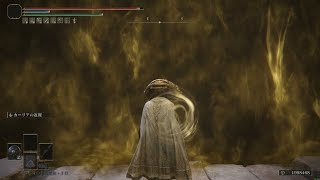 【帰ってきてしまった闘い】第一次ﾎﾊﾞｷﾞ対戦