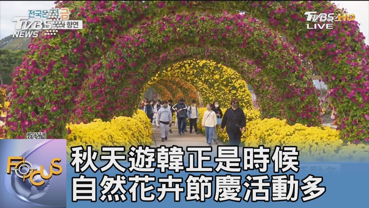 秋天遊韓正是時候 自然花卉節慶活動多