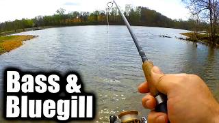 Bank Fishing For Bass and Bluegill With a Swimbait (Ultralight)