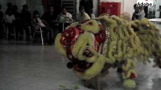 preview picture of video 'Lion Dance'