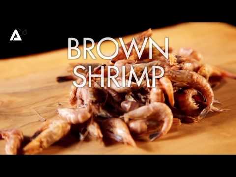 Incredible Gordon Ramsay's Fresh Prawn Rolls Recipe , Almost Anything