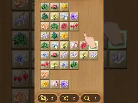 Pair Matching Puzzle Game-Onnect Master-C01-2:3