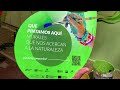 Un mural para tu escuela / MURCIÉLAGO (SDR Capital Natural)