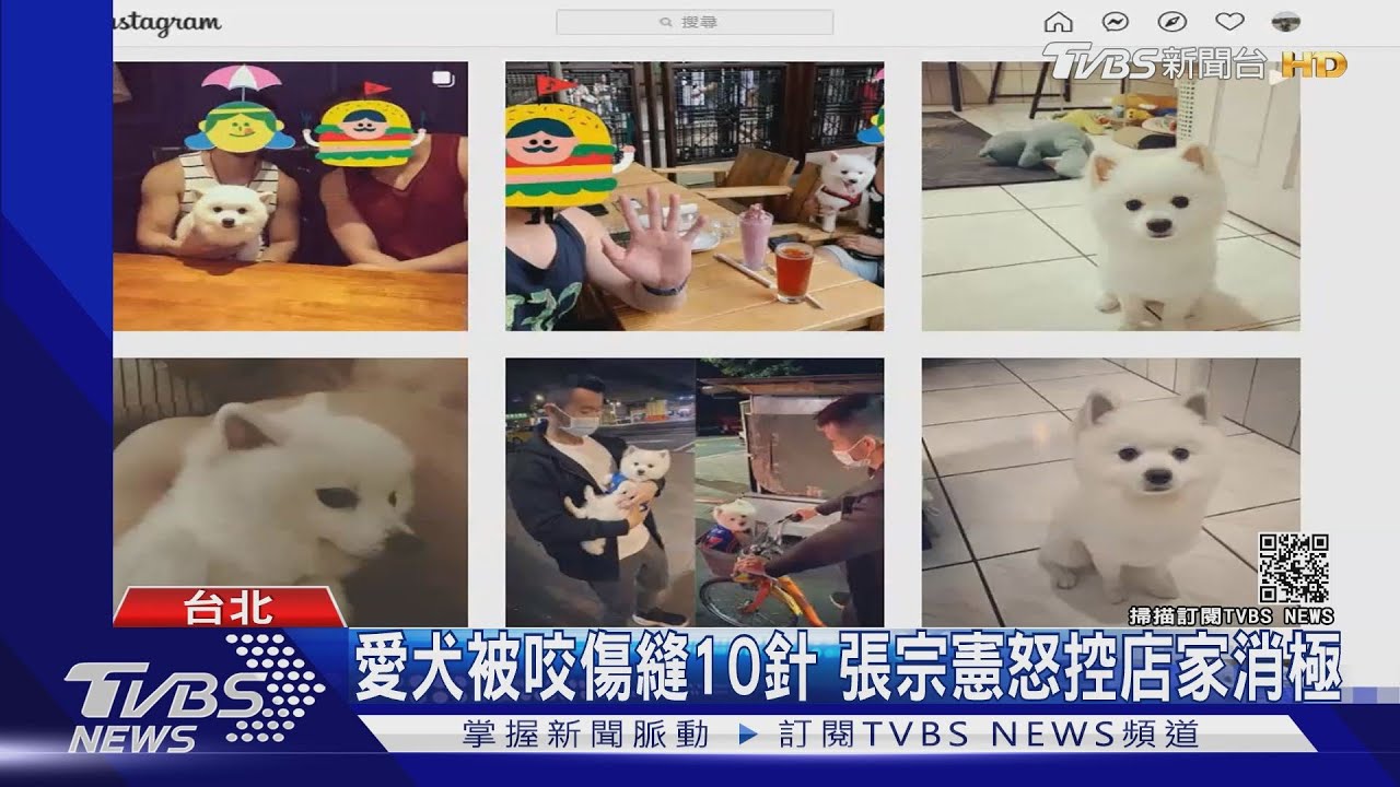 張宗憲汐止咖啡店踏青　不滿愛犬被咬傷縫10針批店家消極