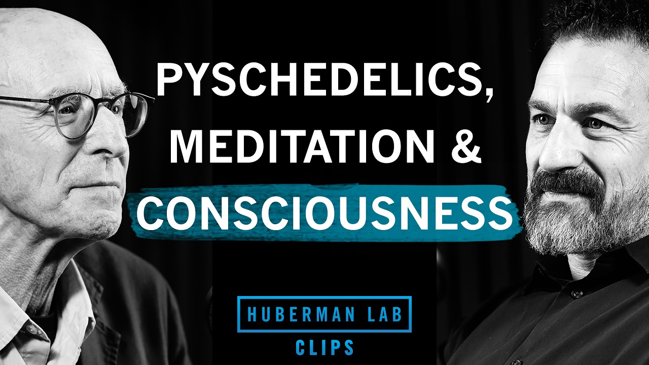 What Psychedelics & Meditation Reveal About Consciousness | Michael Pollan & Dr. Andrew Huberman