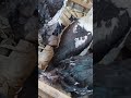 channel