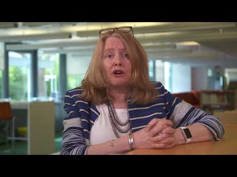 European Year of Cultural Heritage - Gillian Ford