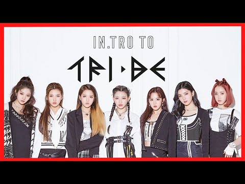 IN.TRO to TRI.BE (트라이비) | Members Profile