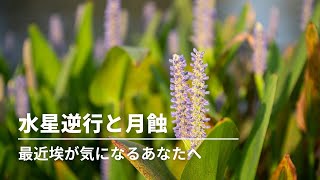 #263  水星逆行と乙女座の満月（月蝕）