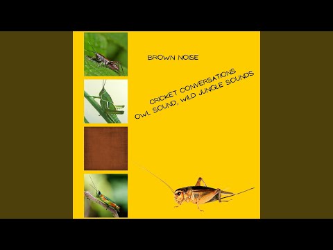 Sleeping Starlight - Brown Noise, Loopable