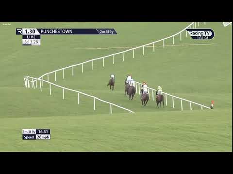Race (2) 13:30 Punchestown (IRE) 03 Feb 2025 Irish Stallion Farms EBF Mares Handicap Chase 5YO plus