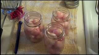 preview picture of video 'Pickling Shallots'