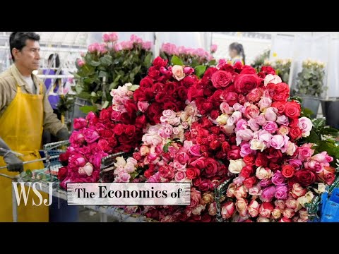 2300 萬朵鮮花是如何從農場送到家門口的（How 23 Million Flowers Are Delivered From Farm To Doorstep | The Economics Of | WSJ）