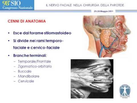 Titanium Hip Ascesso della fotografia gomito