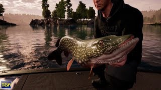 Steam New Releases September 18, 2018 Pt.2