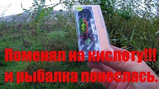 Блесны grows culture