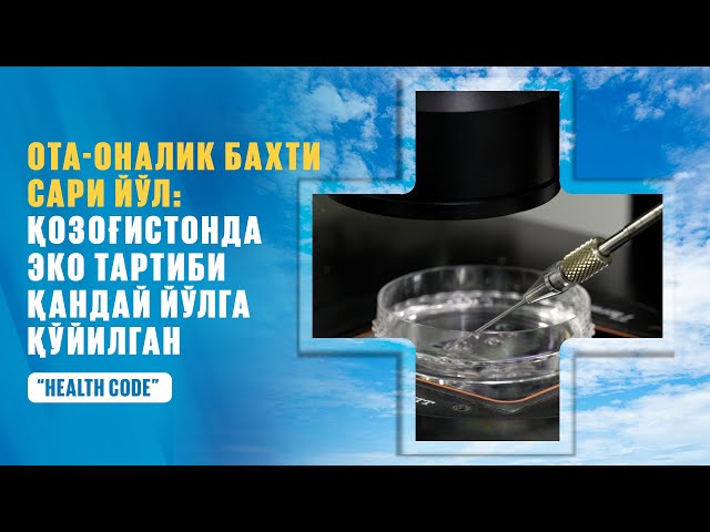 Ота-оналик бахти сари йўл: Қозоғистонда эко тартиби қандай йўлга қўйилган?