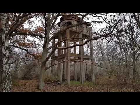 Hylses Blekingeturne - LINDÖ UDDE (Kuggeboda/Listerby-Ronneby) - 2018-11-17 (iPhone 6s+ Samsung S8)