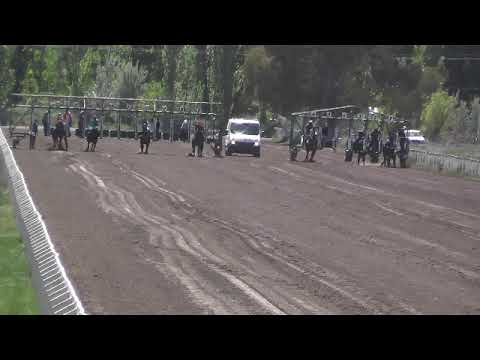 BELTRAN   5° PODEROSO LAKE   9-10-22