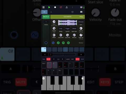 Messing around with flexi samplers in Drambo