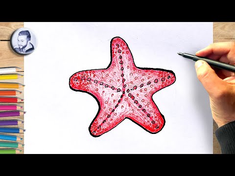 Comment dessiner une étoile de mer dessin facile