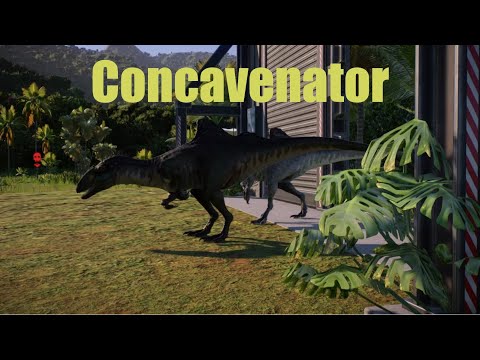 Concavenator Release Animation JWE2
