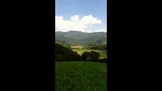 preview picture of video 'Farm land near Asheville NC'