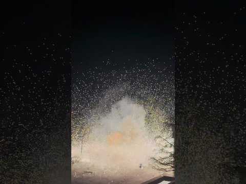 4,2KG FIRECRACKER + POLICE 😨 #feuerwerk #valencia #pyro