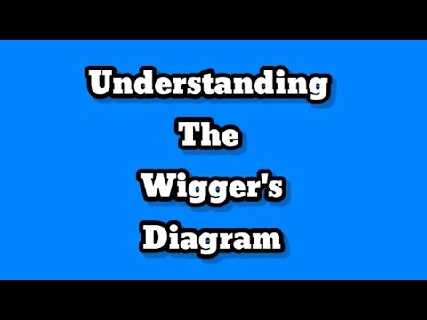 Understanding the Wigger's Diagram