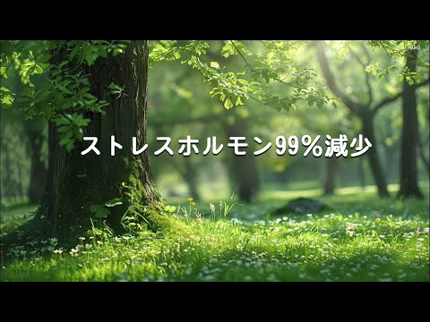 【ストレスホルモン99％減少】とても安らかに。聴くだけで心の平安が訪れる癒しの音楽 ▶ 不安な心が落ち着く音楽、自律神経を整える音楽、リラックス 音楽、瞑想、ヒーリング、睡眠、etc...