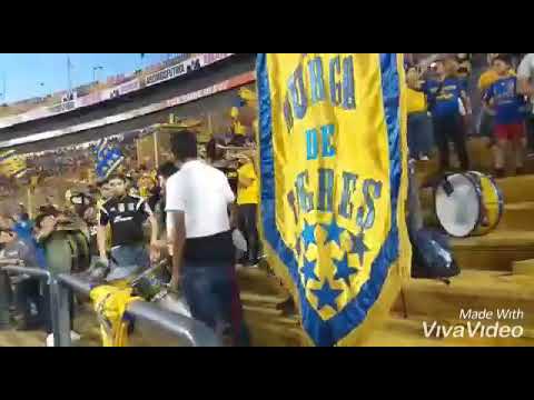 "La Murga de Tigres // clásico femenil Tigres femenil vs rayadas 3-2" Barra: Libres y Lokos &bull; Club: Tigres