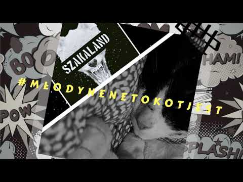 NESTER -  Nenetokotjest