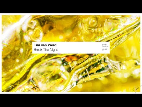 Tim van Werd - Break The Night