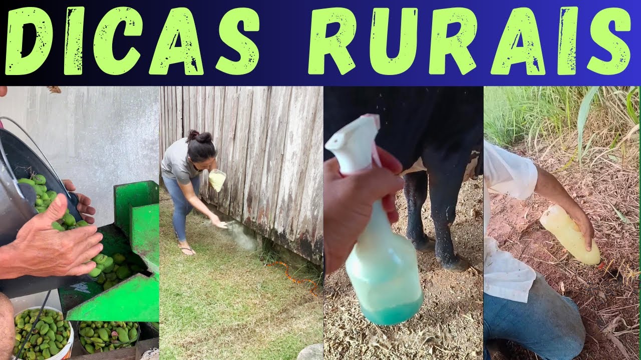 TIPS for FARMING. See what your neighbor knows and you don't!