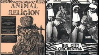 BIG CITY ORCHESTRA - Horse.wmv