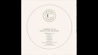 Carreno Is Lb - Anxiety (Kris Wadsworth Sworth Jizzney Land Remix)