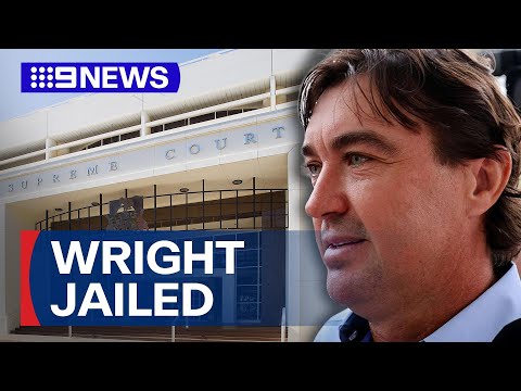 Celebrity crocodile wrangler Matt Wright jailed | 9 News Australia