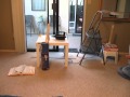 Molly S Rube Goldberg Page Turner In Action