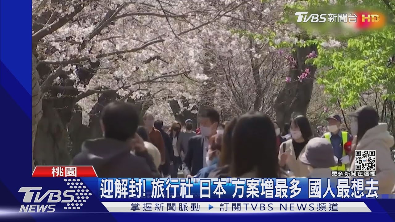 桃機「出境排隊景象回來了」 暑假到出境比入境人多